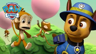 ¡Los cachorros en la selva rescatan a los monos en globos de chicle!  PAW Patrol Episodio Español