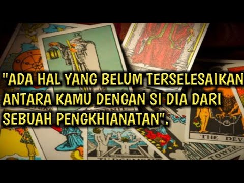 Video: Dataran Tinggi Lurus: Kucing Lurus Berambut Panjang Skotlandia, Deskripsi Jenis, Perawatan Dan Pemeliharaan, Foto, Ulasan Pemilik