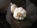 👉 “If you eat garlic on an empty stomach, this may happen to your body…