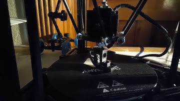 First print Anycubic Kossel mini 3D printer
