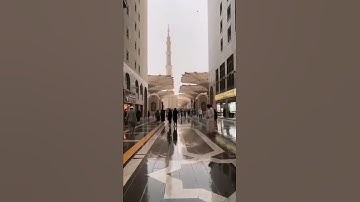 حالات واتس إن الله وملائكته يصلون على النبي بصوت القارئ رعد الكردي