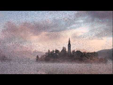 ხათუნა ჩიტაძე-ლექსები...