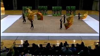 Pattonville Winter guard 2008 Robin Hood Wealth