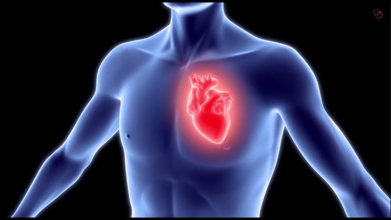 מחלות לב כליליות: המחלה, התסמינים והטיפול