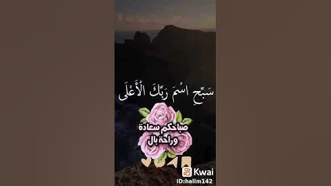 سورة الاعلى قران كريم