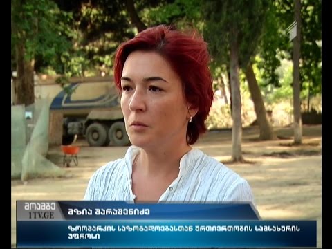 ვეფხვი და აფთარი ამ დრომდე იძებნებიან - სამძებრო სამუშაოებში მონადირეებიც ჩაერთნენ