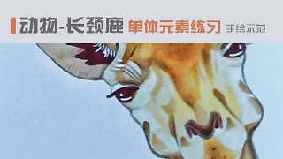 动物：长颈鹿单体元素练习手绘示范
