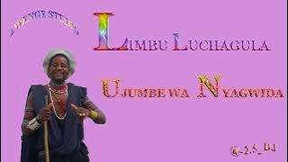 Limbu luchagula  Ujumbe wa Nyagwiga Offical music audio 2022