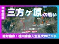 〔音声付きVer〕【合戦図解】三方ヶ原の戦い〜絶対絶命！徳川家康人生最大のピンチ〜