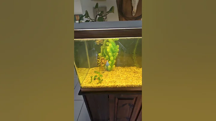 I Will Name Him George With A G