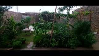 #Garden #balochistan #pakistan #quetta #video