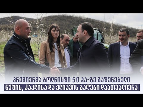 პრემიერმა ბოლნისში 50 ჰა-ზე გაშენებული ნუშის, კაკლისა და ქლიავის ბაღები დაათვალიერა