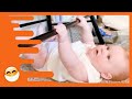 Adorable Babies Doing Funny Things -  Cute Baby Videos