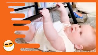 Adorable Babies Doing Funny Things -  Cute Baby Videos