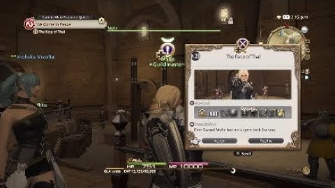 FINAL FANTASY XIV: A Realm Reborn - Gladiator