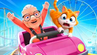 CRAZY CAT Rides Rollercoasters!