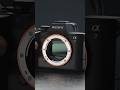 Sony A7 Mark 5 Quick Review | Should You Buy This Or Not