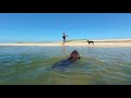 The long hot Summer