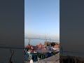 Video, Script, Narration, Edit: Nabeel Ahmad | Music: Instagram / Mithilesh Panchal