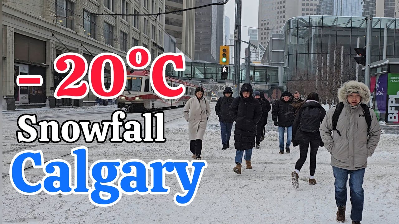 Snowfall and Freezing Cold -20 °C in Calgary Alberta Canada on February 2026
