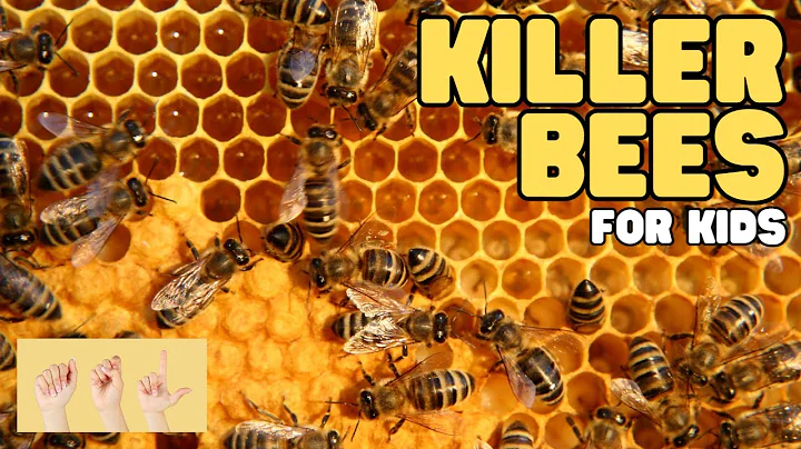 ASL Killer Bees for Kids