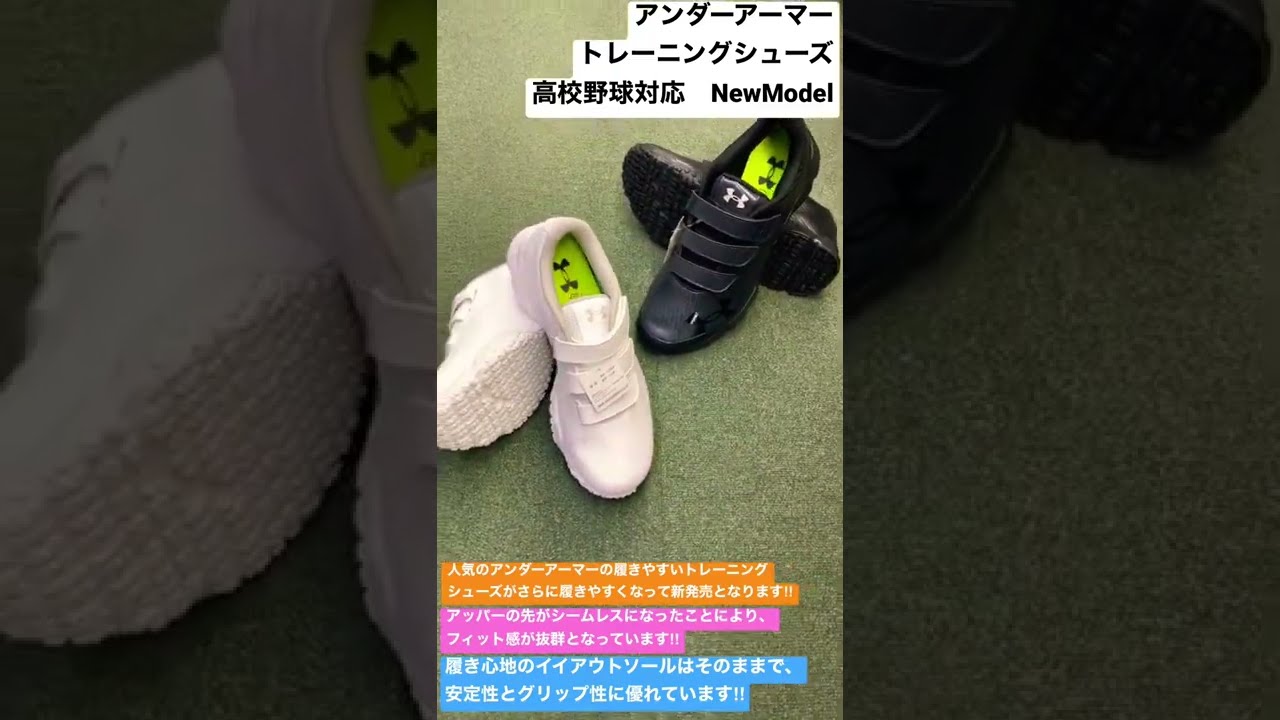 履正社高校　野球トレーニングウェア 野球・ソフト,ウェア | 野球用品とサッカーの専門店 フジスポ