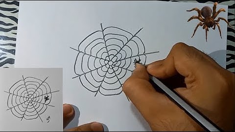 How To Draw A Spider Web Step By Step 🕸️
