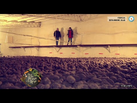 Preview de De la tierra a tu mesa, la papa