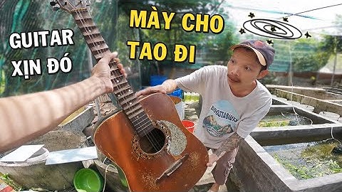 Đổi cây Guitar lấy cá Betta xịn và cách chọn thùng nuôi cá Giant mau lớn