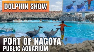 Best Dolphin Show at Port of Nagoya Public Aquarium 名古屋港水族館  海豚表演 2023