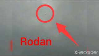 Rodan In Real Life