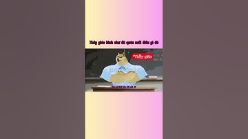 Thầy giáo hình như đã quên mất điều gì đó #funny #cheems #memes #haihuoc