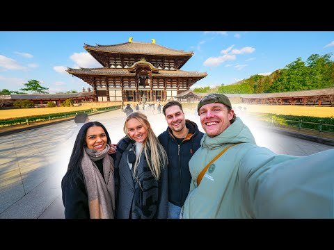 Video: Die grootste tempel ter wêreld