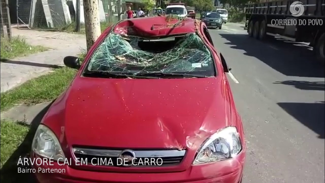 Árvore cai em veículo em movimento jornal do brasil