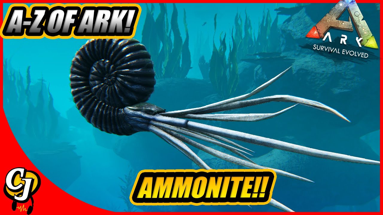 A-Z Of Ark! The Ammonite And Why You Need To Kill This Sucker!! || Ark Survival Evolved!