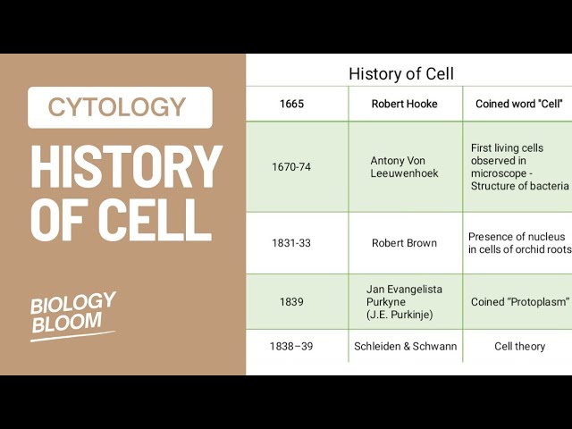 Cell Theory Timeline Ppt