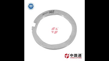 Cam Ring 28369010 7189-100BQ for delphi cav injection pump