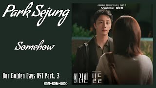 Park Se Jung (박세정) – Somehow | Our Golden Days 화려한 날들 OST Part. 3 Lyrics Han/Rom/Indo