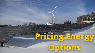 Pricing Asian Options in the Australian Electricity Market
