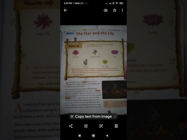 Class 6th The Star And The Lily  Class 6th The Star And The Lily