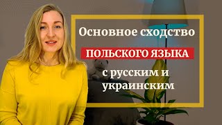 Сходство польского языка с русским и украинским