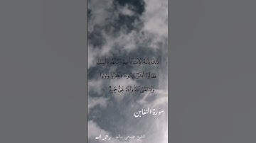 سورة التغابن آيات 5-6