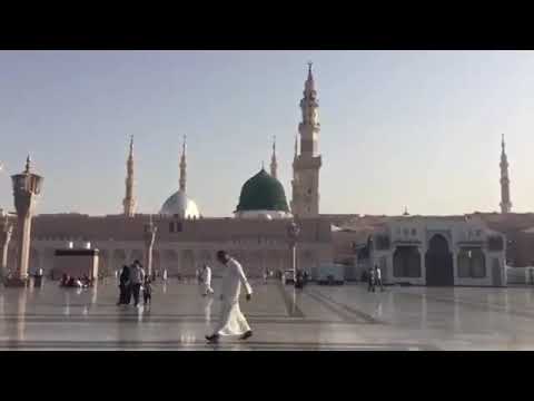 ش اك ر ا ل أ ن ع م ه اج ت ب اه و ه د اه إ ل ى ص ر اط م س ت ق يم