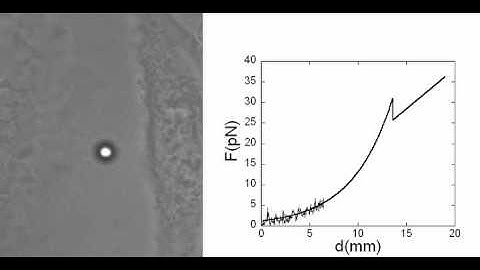 Structure and elastic properties of tunneling nanotubes