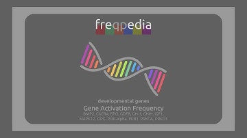 All Developmental Genes Activation Frequency