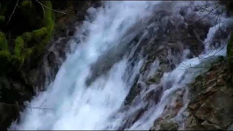 الشيخ احمد نعينع  -  مقطع من سورة النبأ