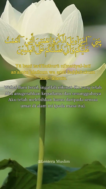 islamic instrumental music #islamic #islamicbackgroundvideonocopyright #islamituindah