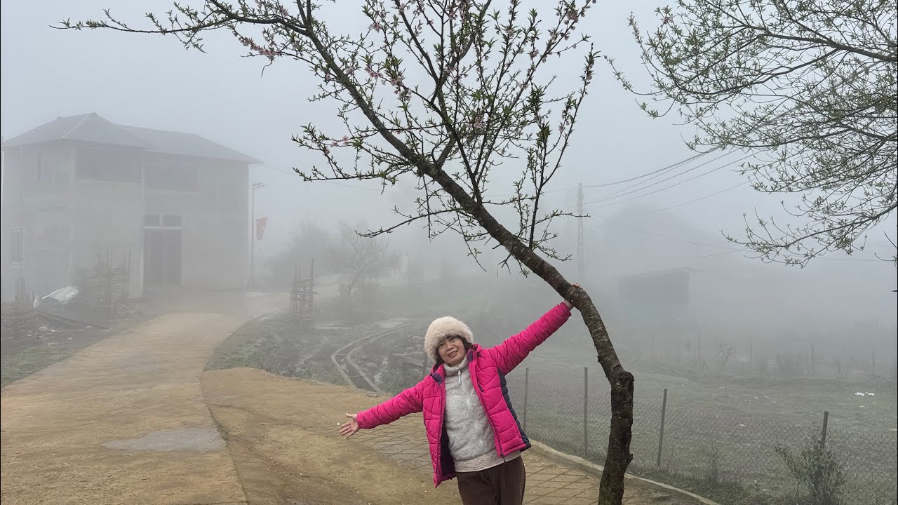 Bình yên Y Tý Lào Cai#yty#laocai #dulich 