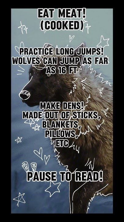 Tips For Wolf Therians YouTube tips-for-wolf-therians-youtube
