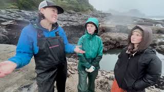 Competitive exclusion, zonation, niches, and biodiversity in the rocky intertidal zone